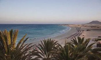 Riu Palace Tres Islas 코라레호 4*,